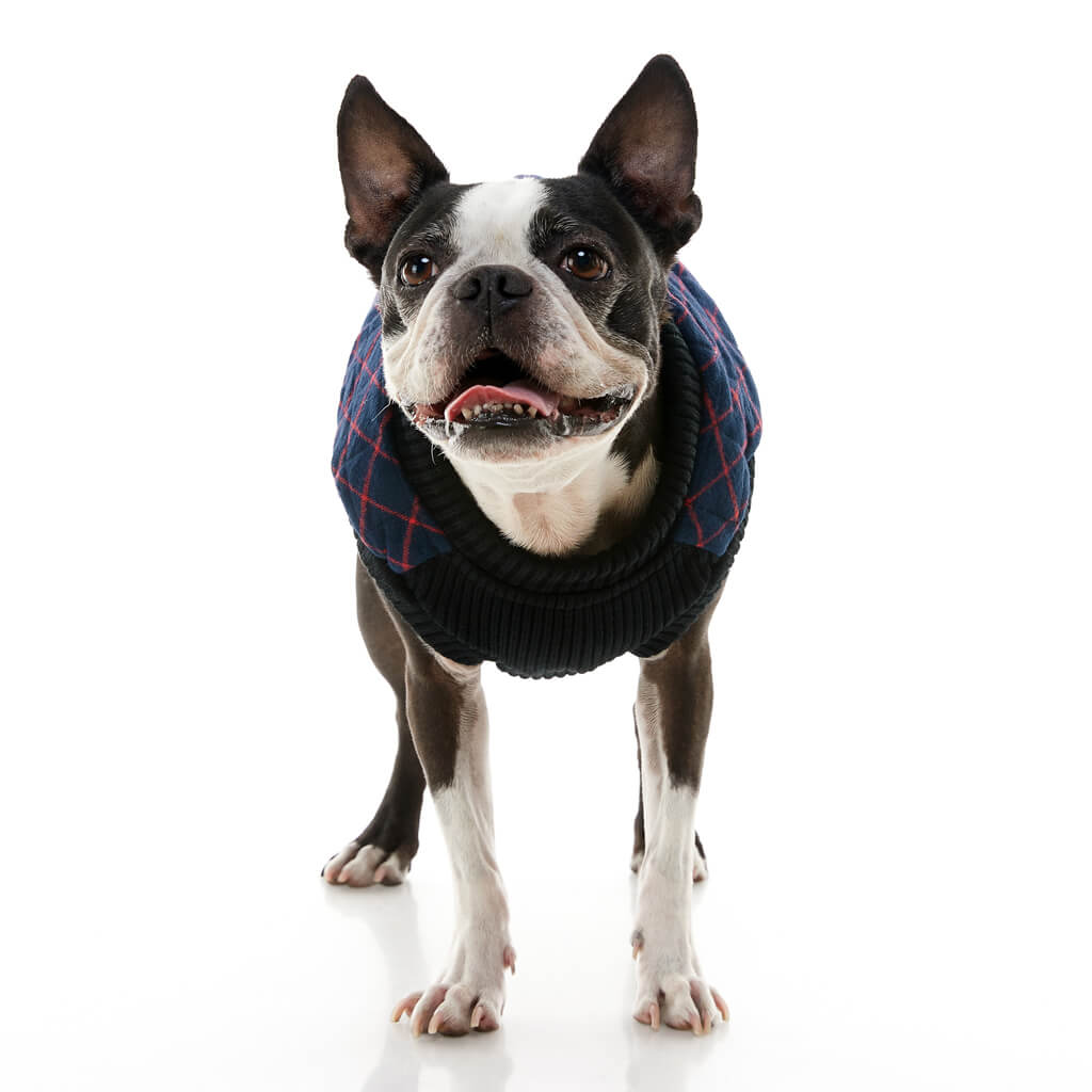 Fashion Vest Check from Gooby