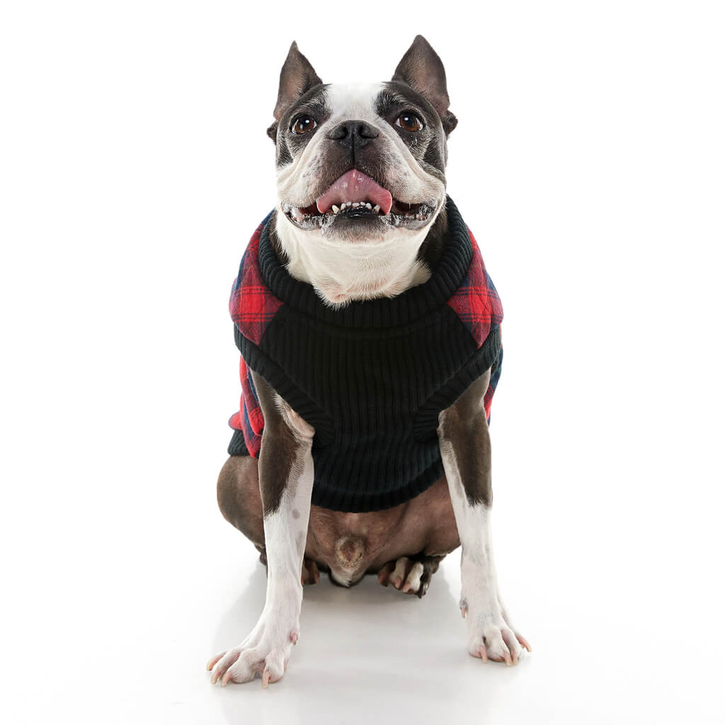 Fashion Vest Check from Gooby