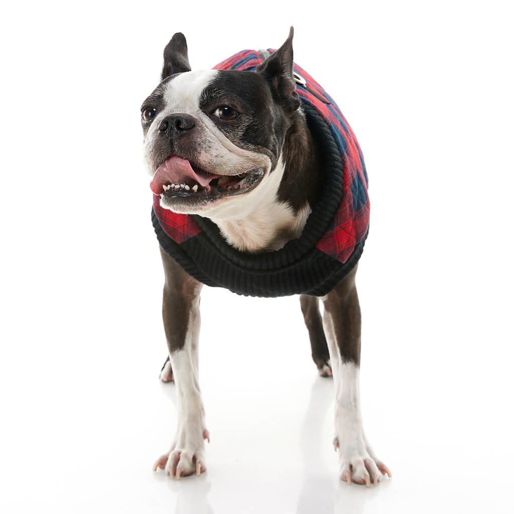 Fashion Vest Check from Gooby