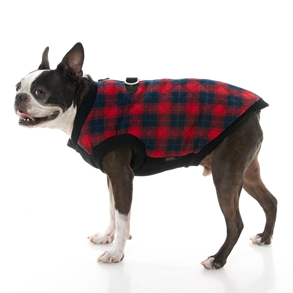 Fashion Vest Check from Gooby