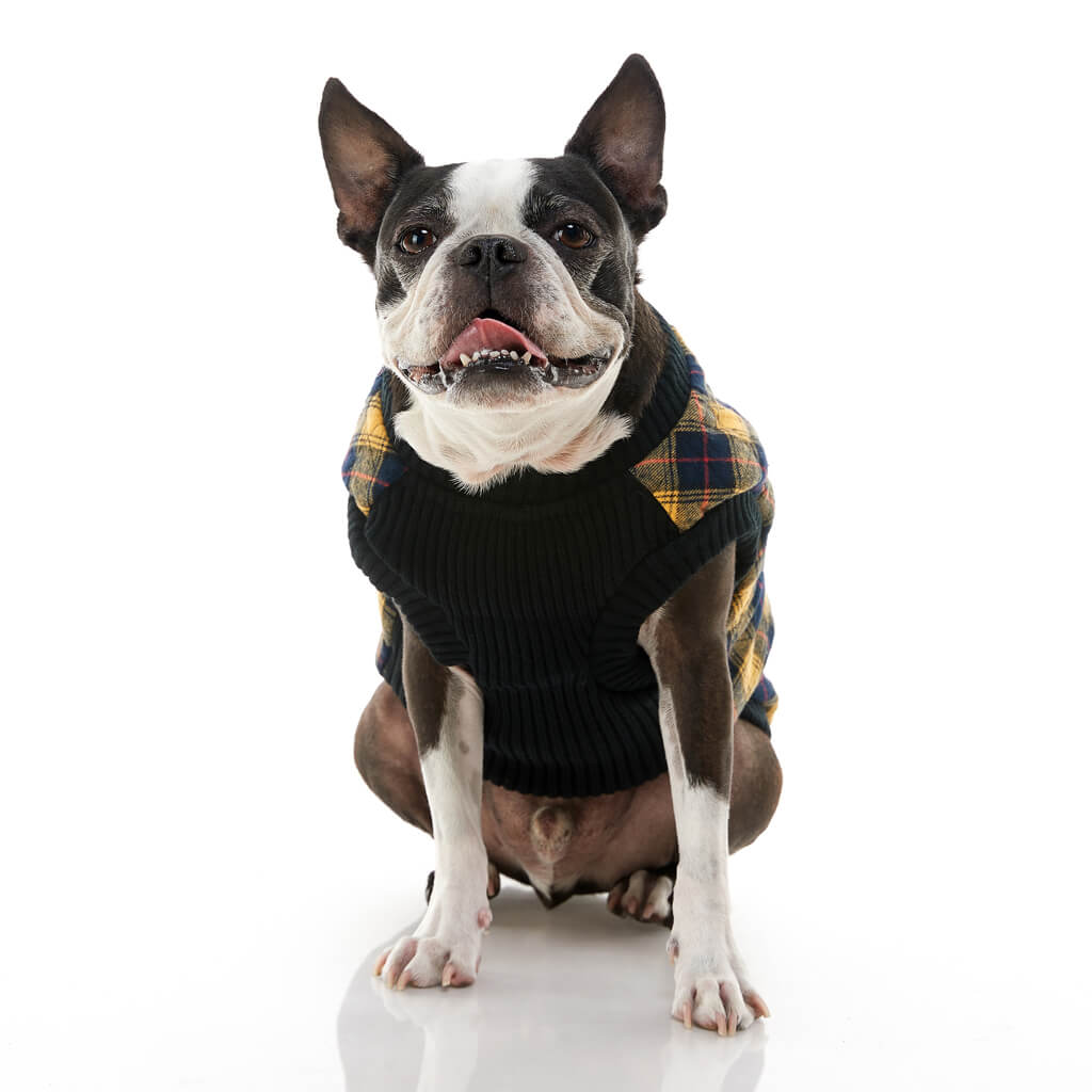 Fashion Vest Check from Gooby