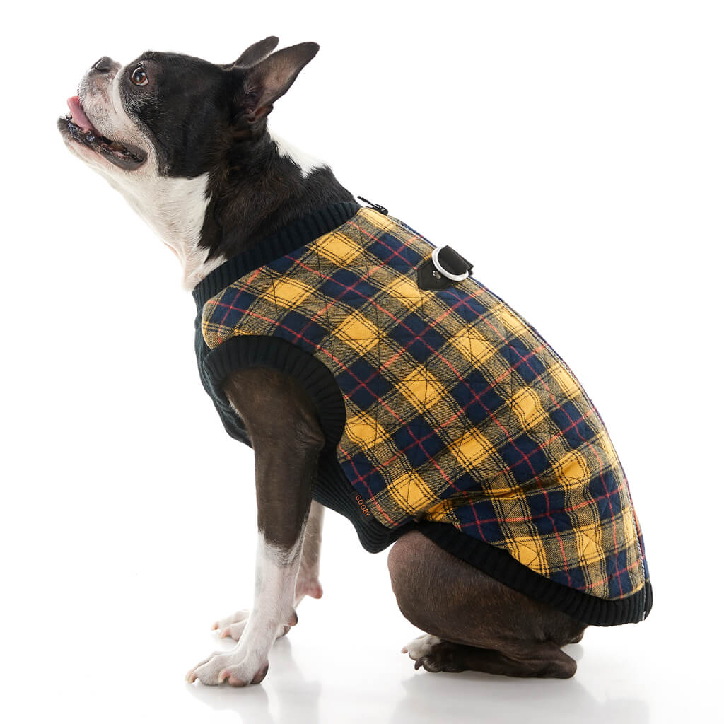 Fashion Vest Check from Gooby