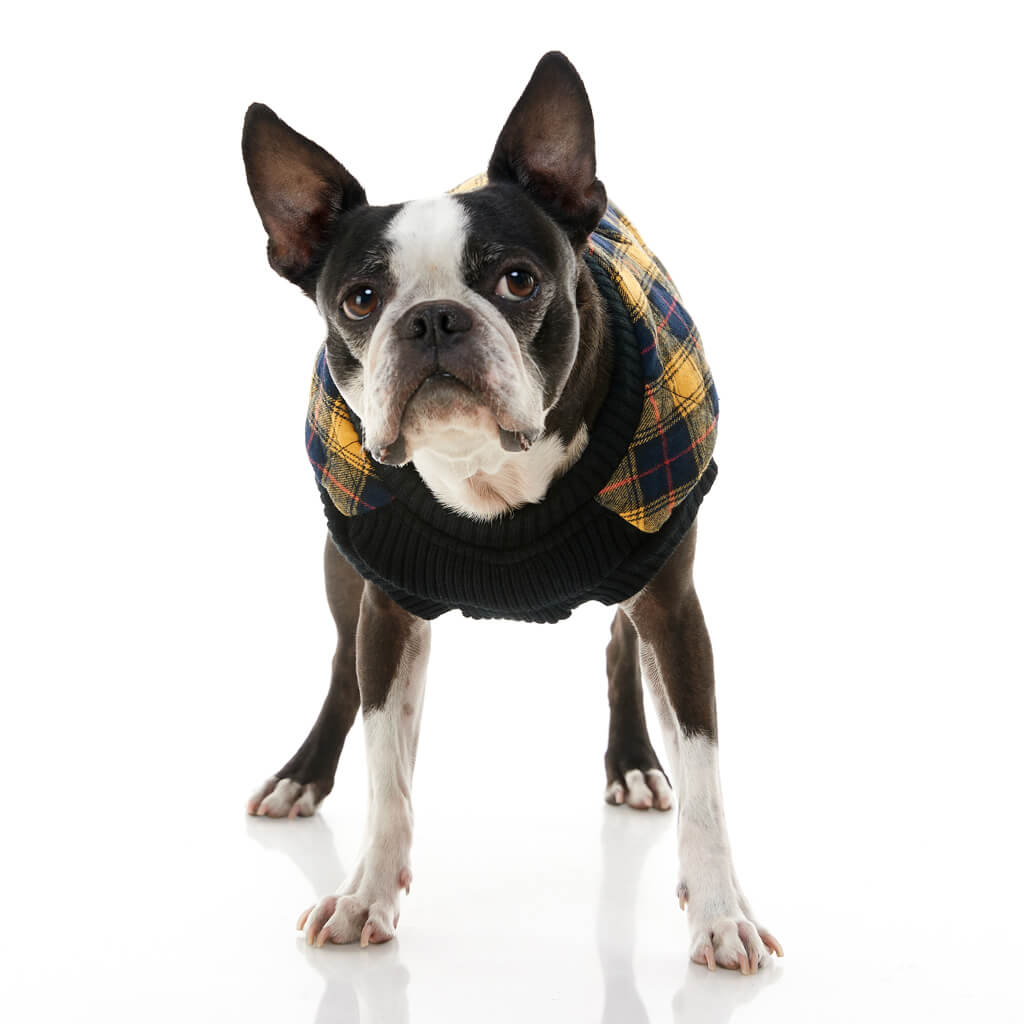 Fashion Vest Check from Gooby