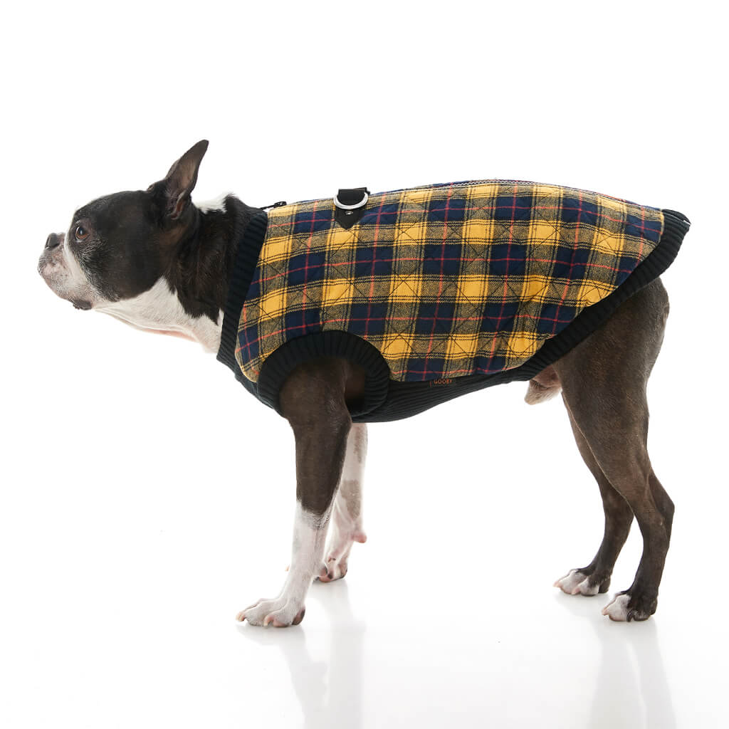 Fashion Vest Check from Gooby