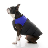 Padded Vest from Gooby