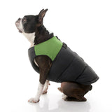 Padded Vest from Gooby
