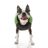 Padded Vest from Gooby