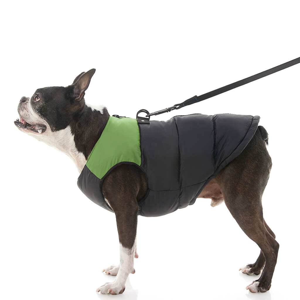 Padded Vest from Gooby