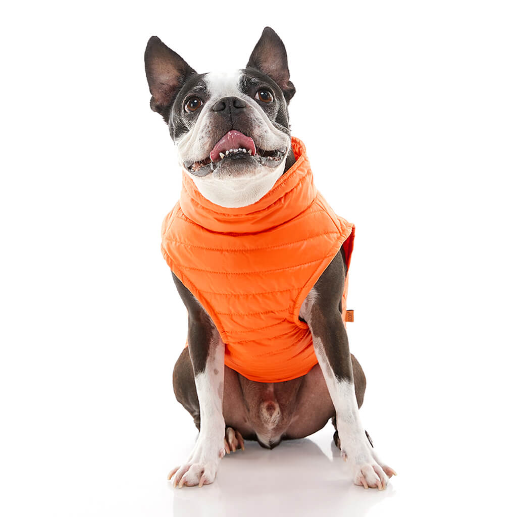Puffer Vest from Gooby