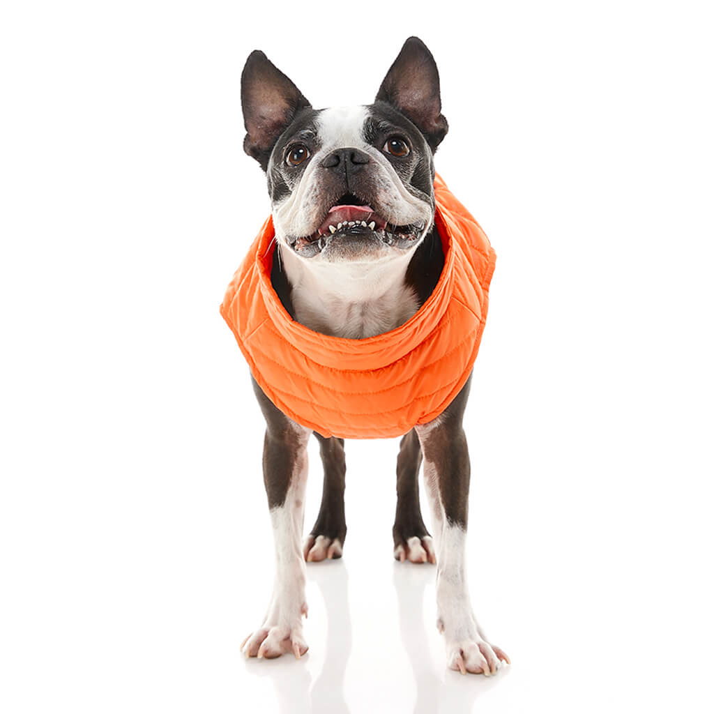 Puffer Vest from Gooby