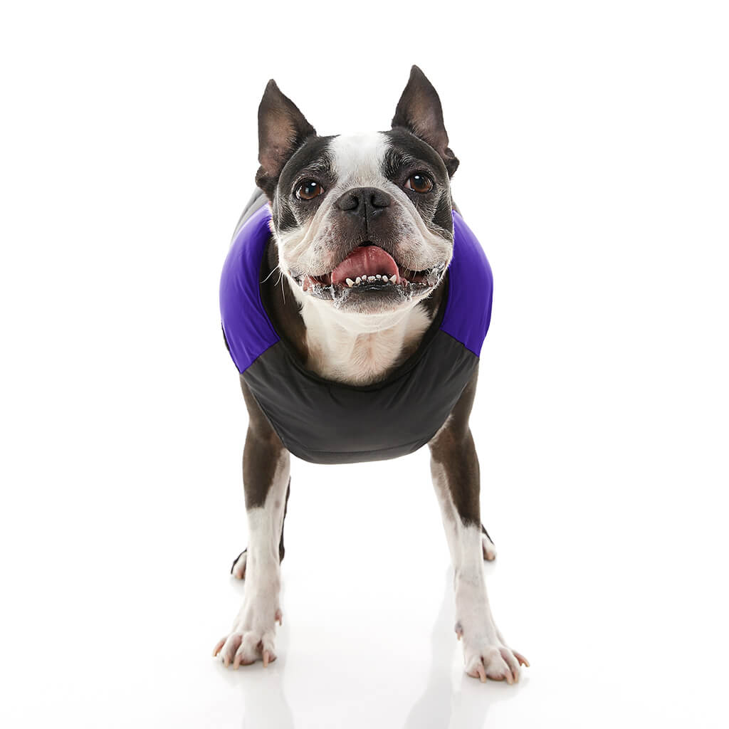 Padded Vest from Gooby