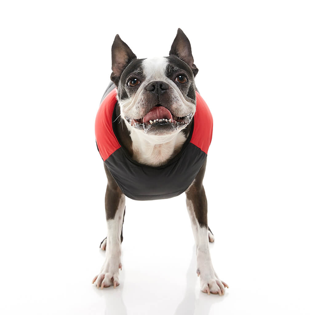 Padded Vest from Gooby