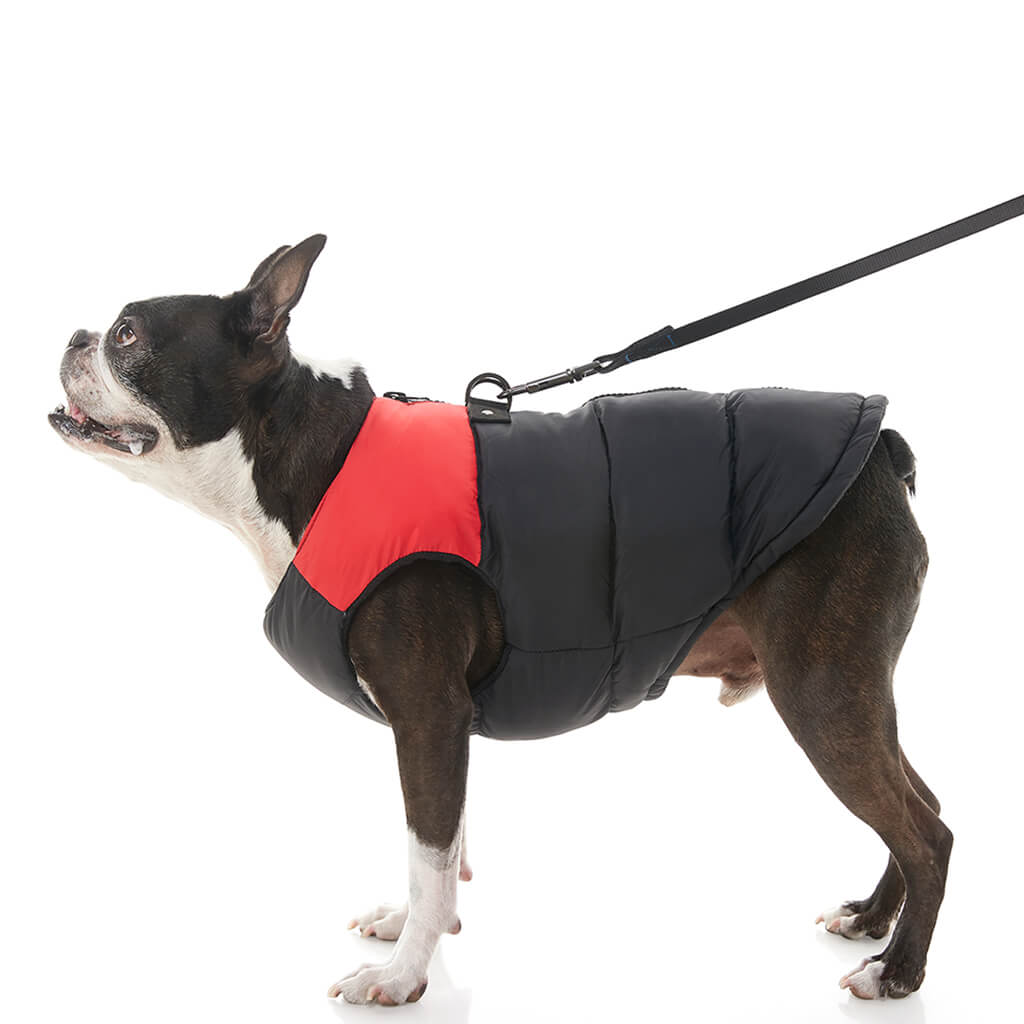 Padded Vest from Gooby