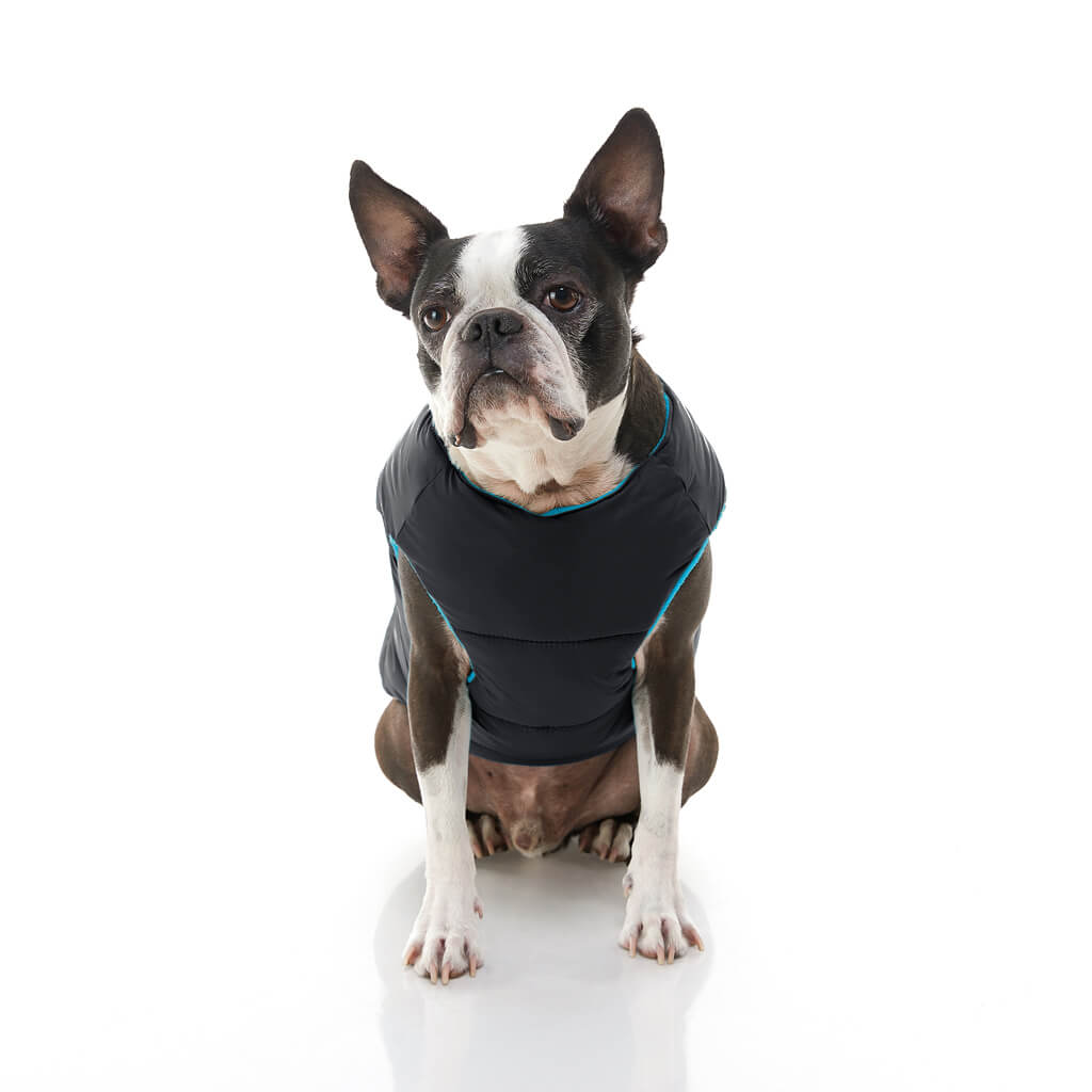 Padded Vest Solid from Gooby