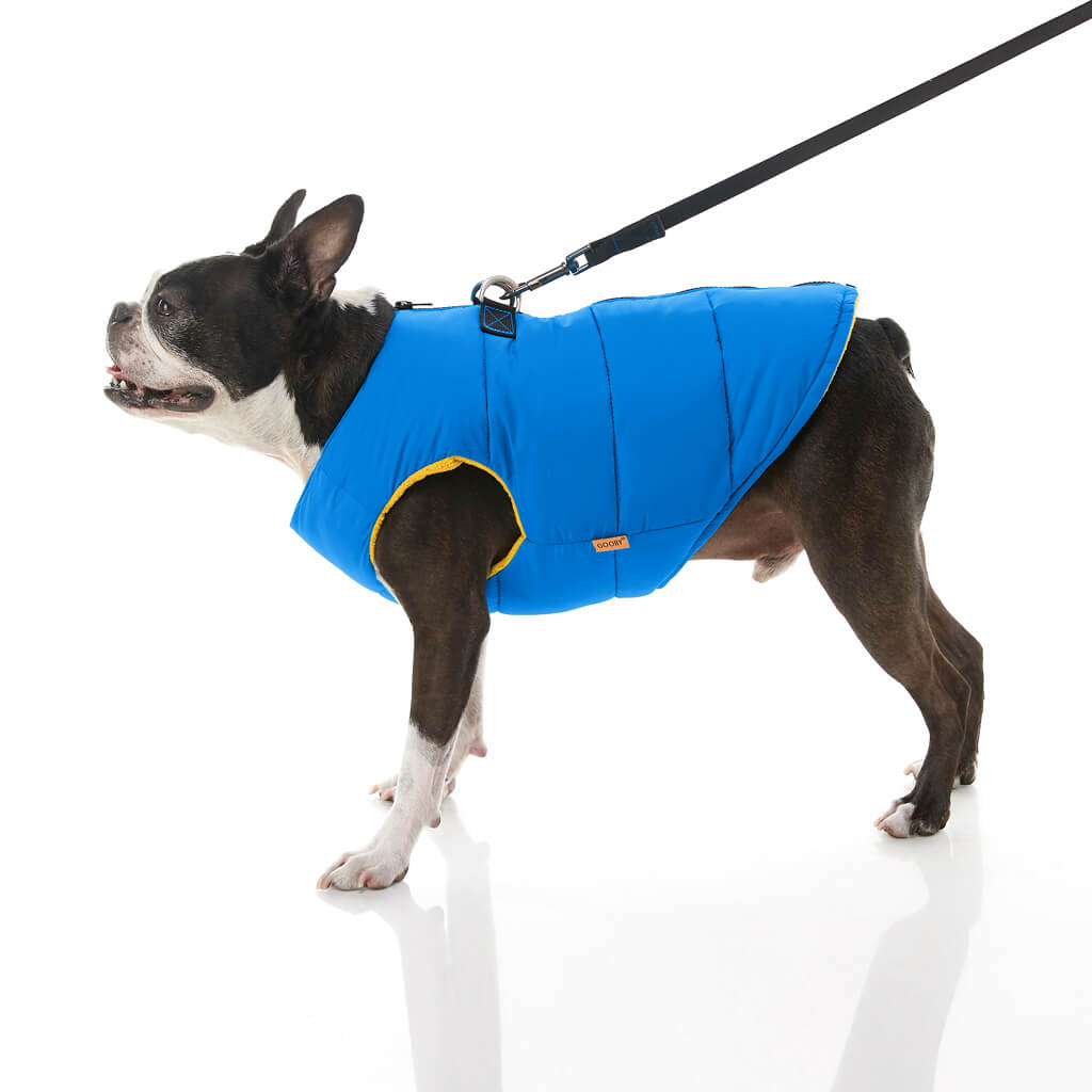 Padded Vest Solid from Gooby