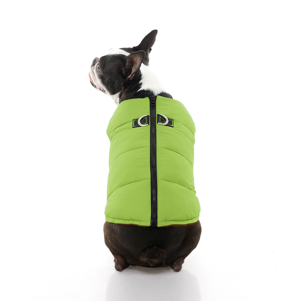 Padded Vest Solid from Gooby