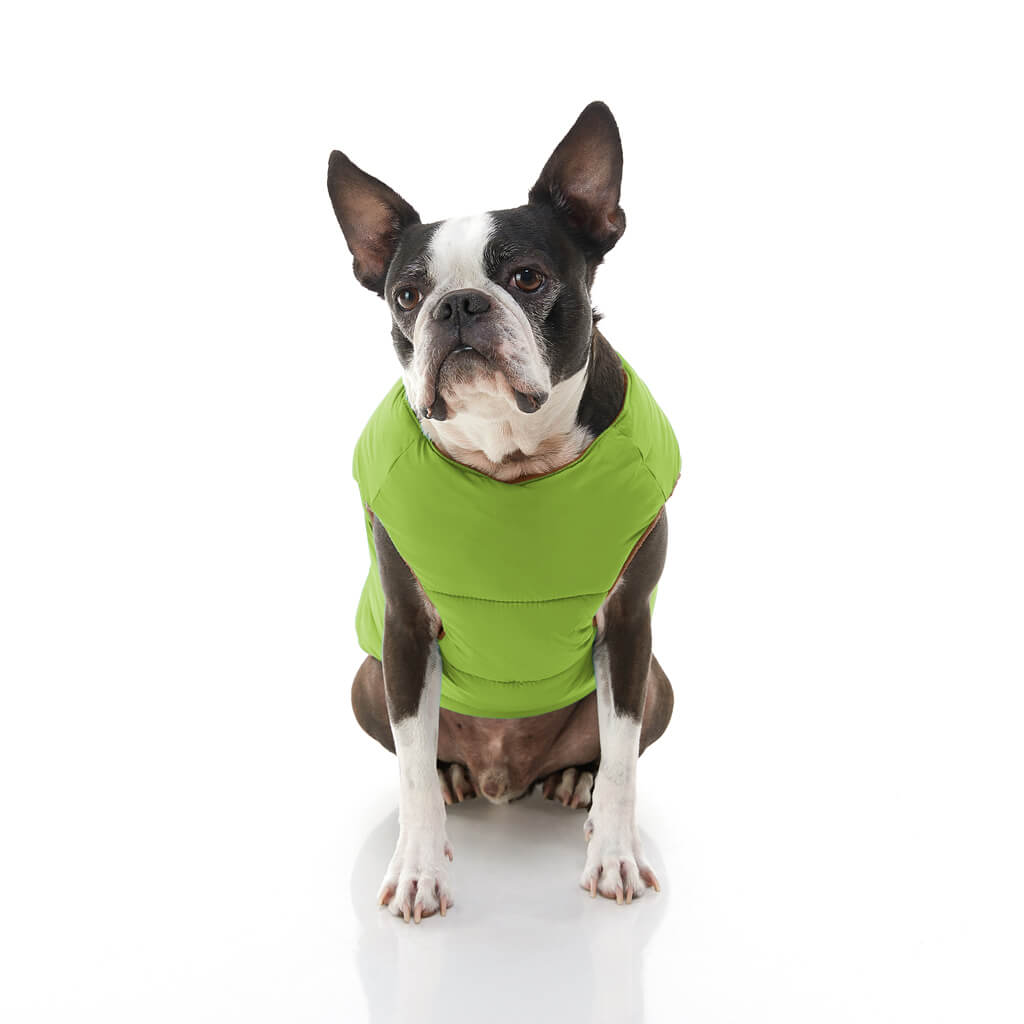 Padded Vest Solid from Gooby
