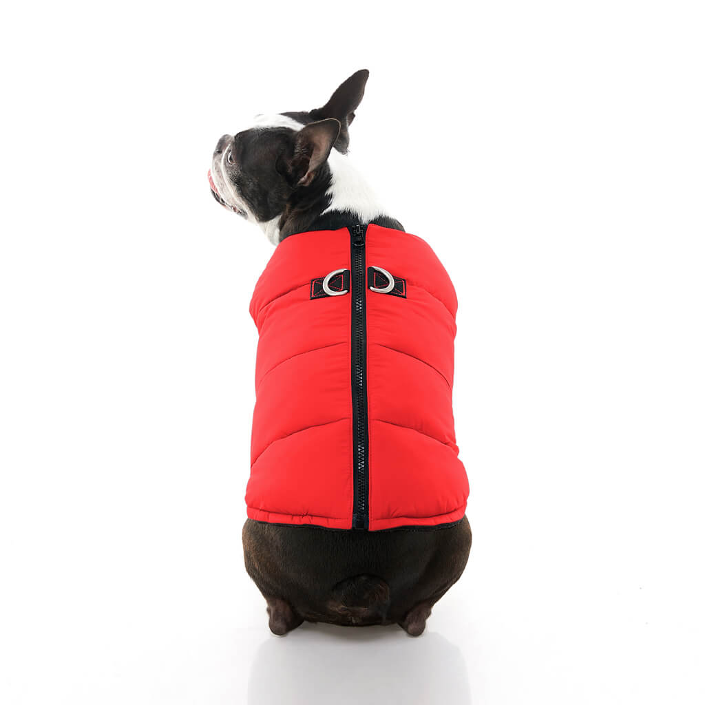 Padded Vest Solid from Gooby