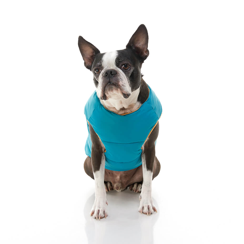 Padded Vest Solid from Gooby