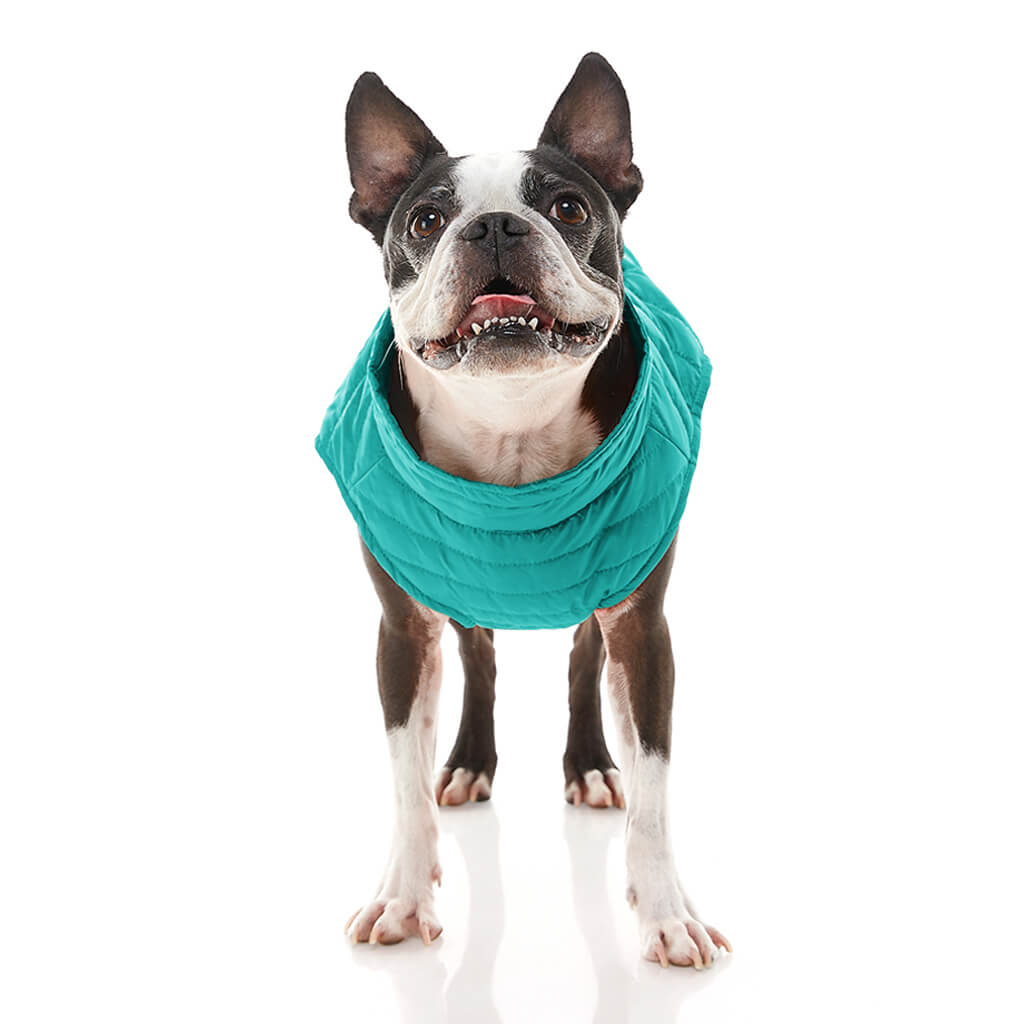 Puffer Vest from Gooby