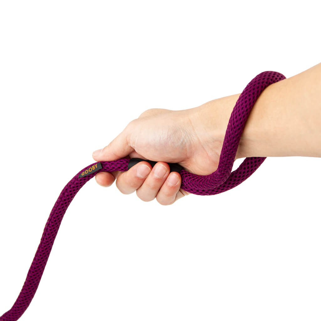 Soft Mesh Leash from Gooby