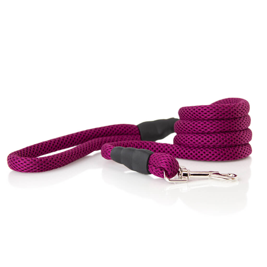 Soft Mesh Leash from Gooby
