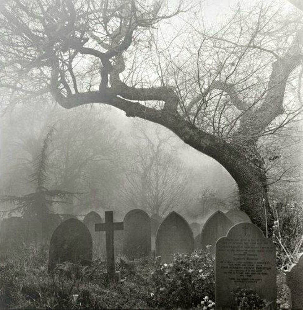 Graveyard from Wicked Good Perfume