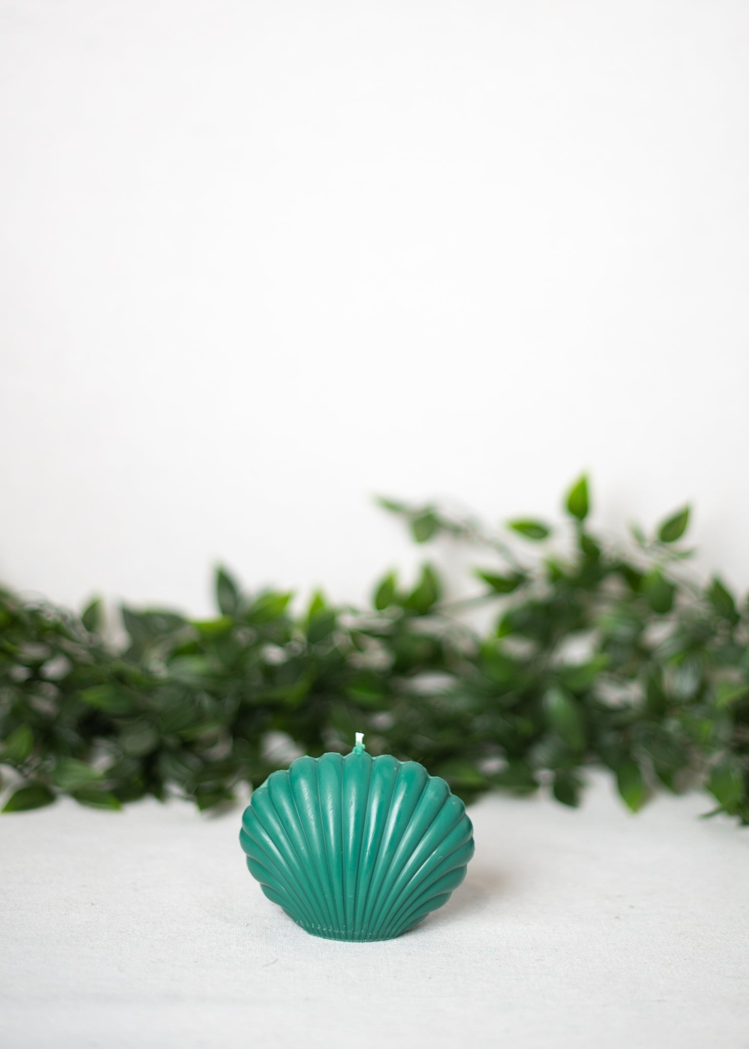 Shell Candle Collection from Shop Restyled