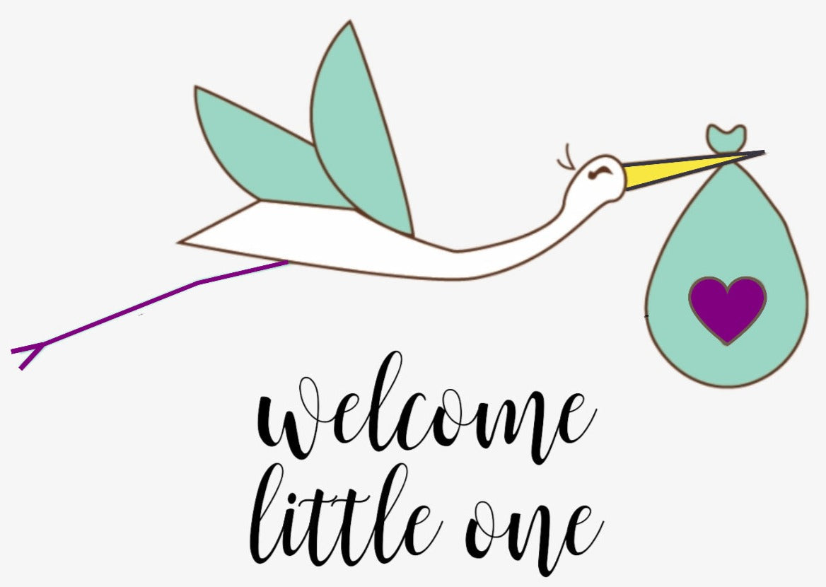Organic new baby gift set - welcome little one! from Lizush