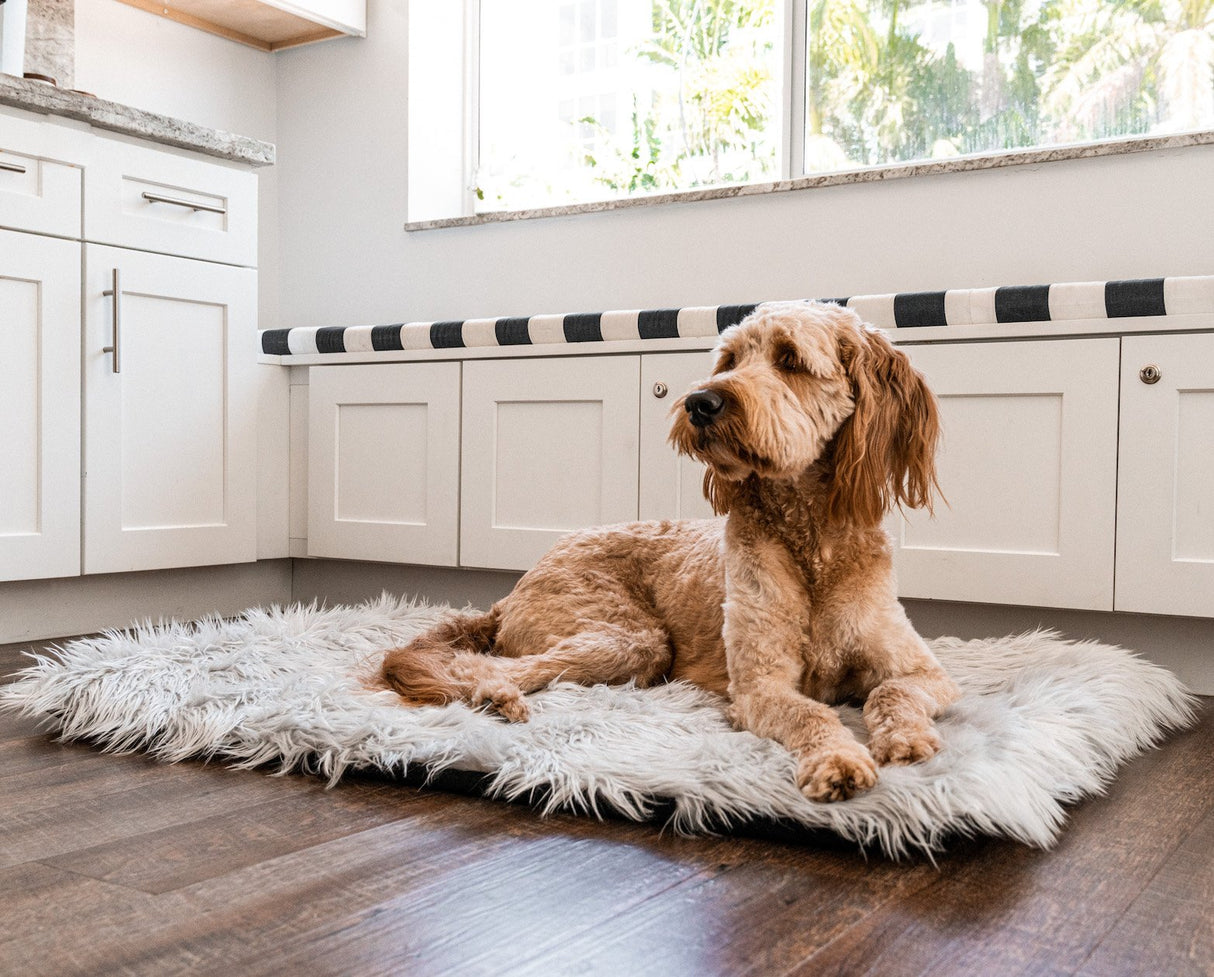 PupRug by Paw.com™ Portable Orthopedic Dog Bed - Grey from Paw.com