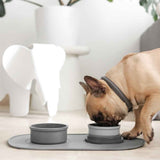 Portable & Travel Dog Bowl from KindTail
