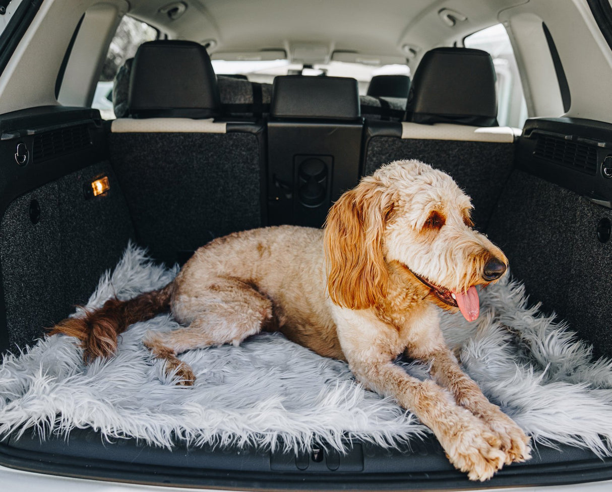 PupRug by Paw.com™ Portable Orthopedic Dog Bed - Grey from Paw.com