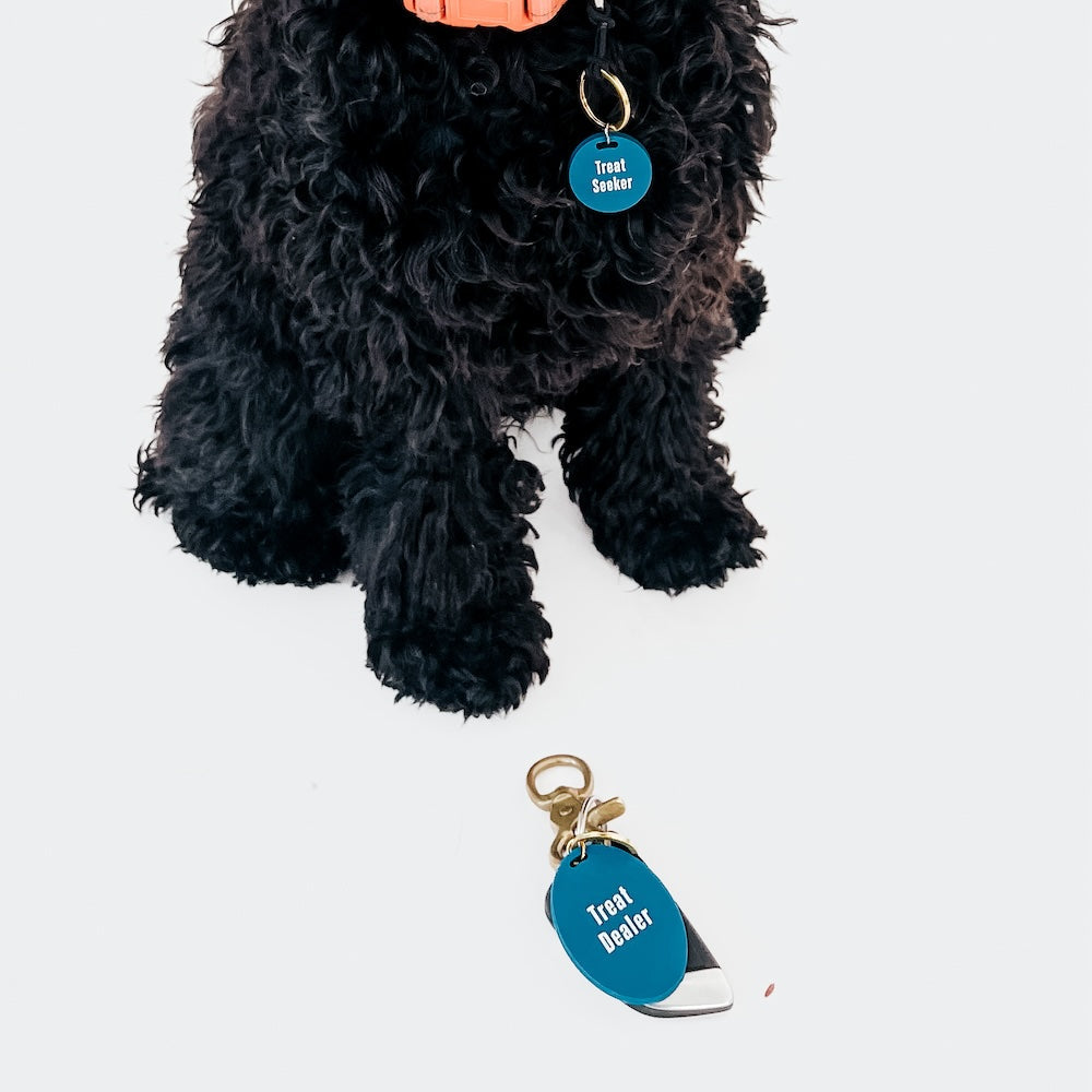 Gus & Co - Dog Tag and Keychain Set from Pretty Simple