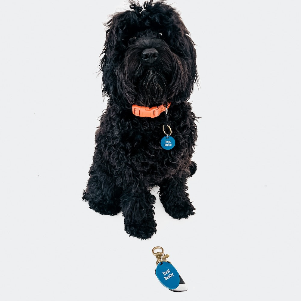 Gus & Co - Dog Tag and Keychain Set from Pretty Simple
