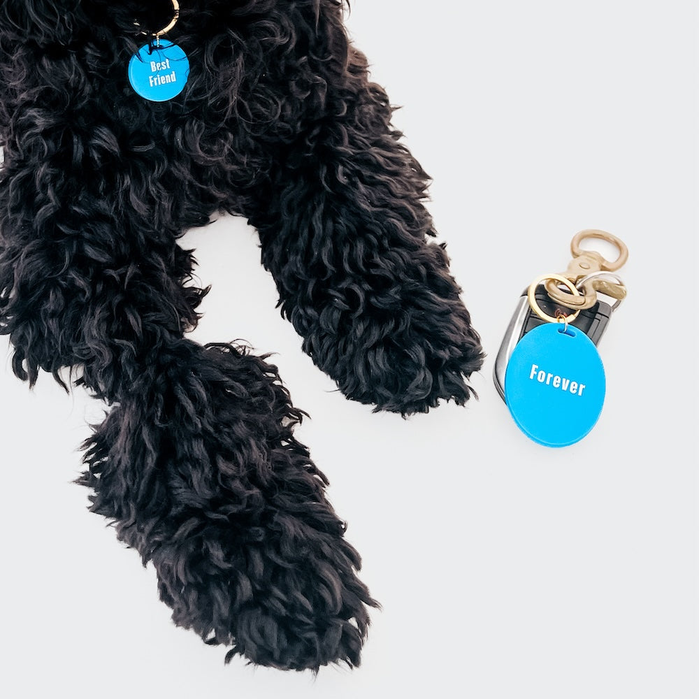 Gus & Co - Dog Tag and Keychain Set from Pretty Simple