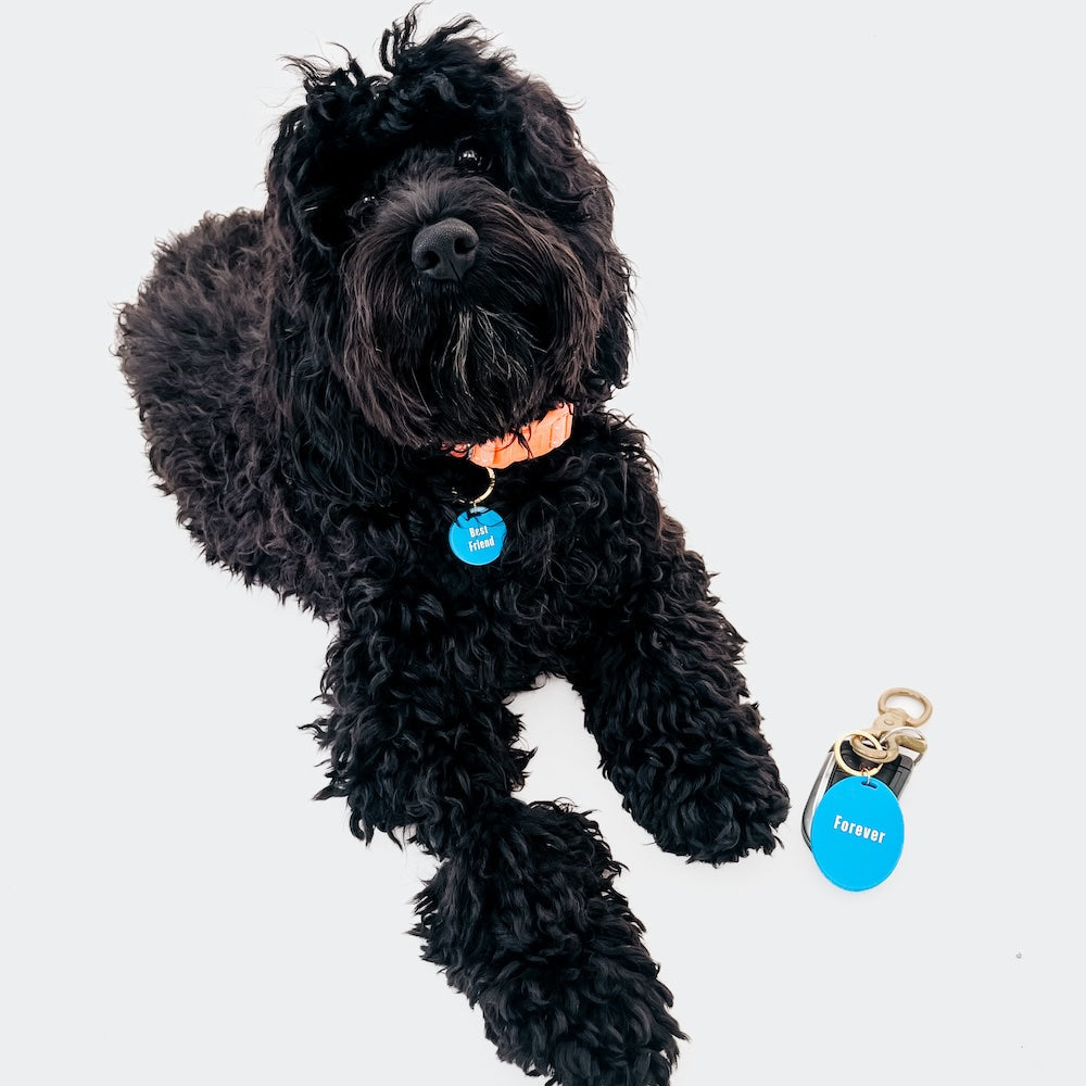 Gus & Co - Dog Tag and Keychain Set from Pretty Simple