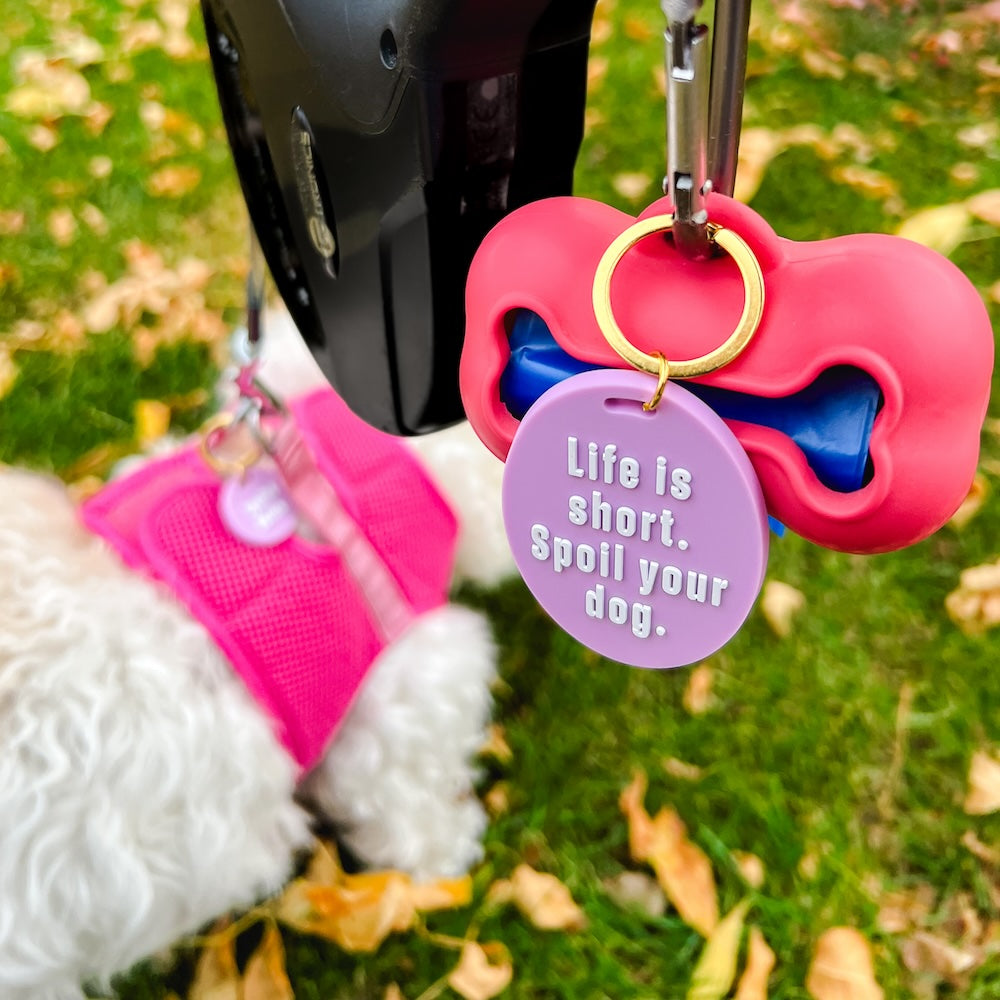 Gus & Co - Dog Tag and Keychain Set from Pretty Simple