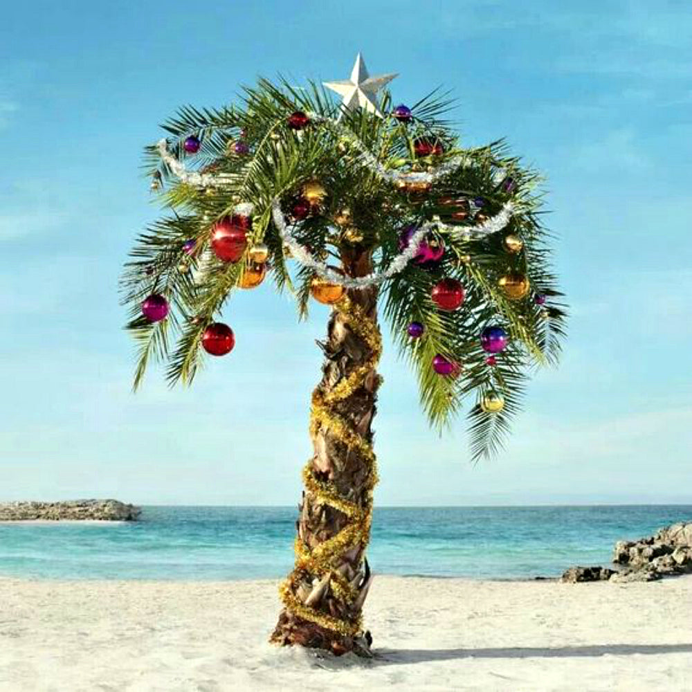 Island Christmas from Wicked Good Perfume