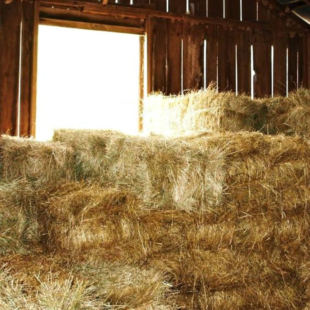 Hay Bale from Wicked Good Perfume