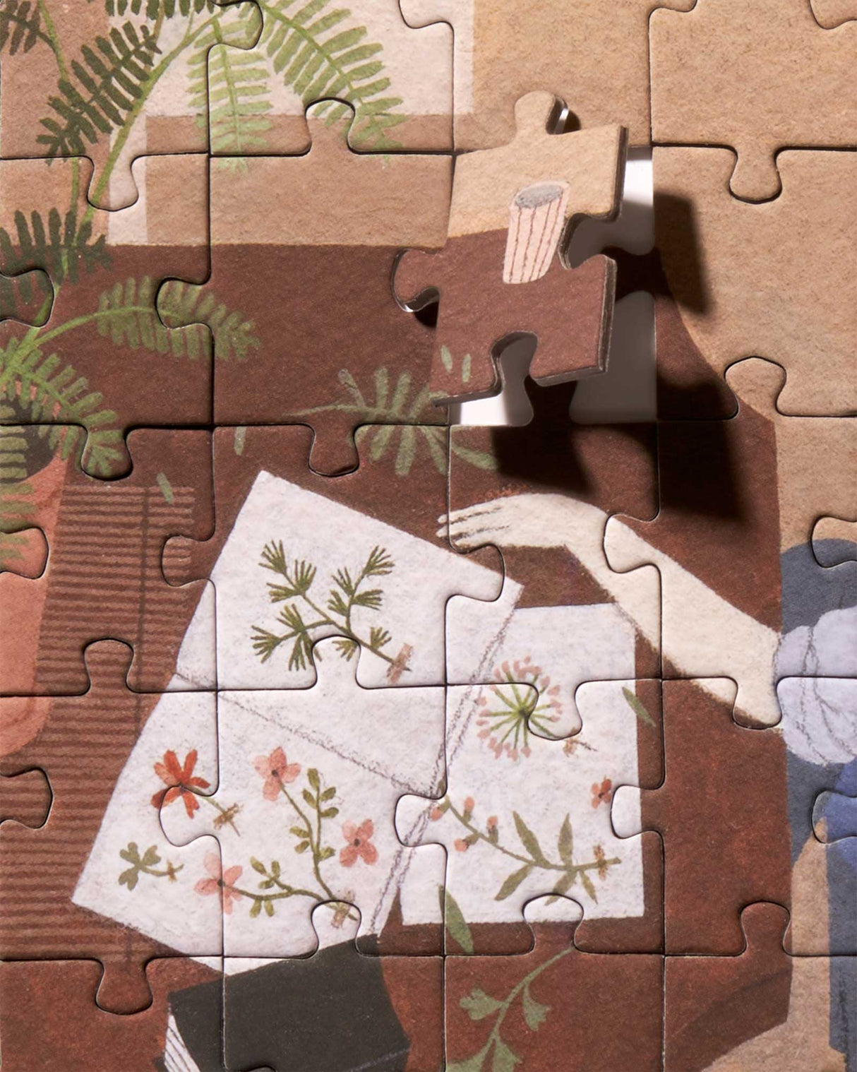 Herbarium Puzzle from Ordinary Habit