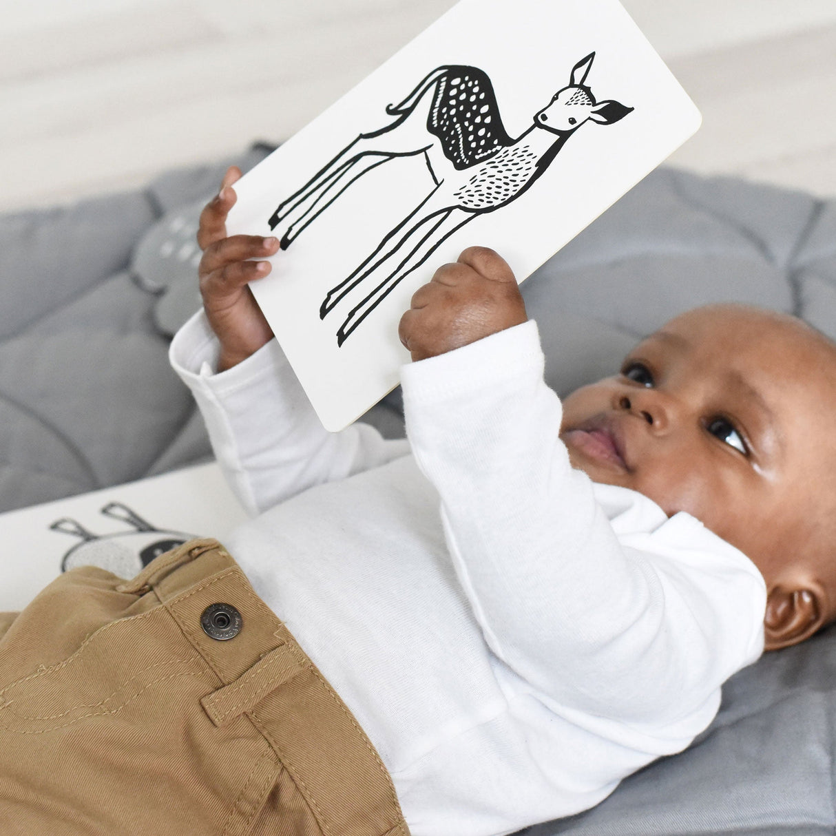 Art Cards for Baby - Baby Animals Collection From Wee Gallery