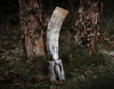 Curved Drinking Horn Bundle with Stand & Holster from Norse Tradesman