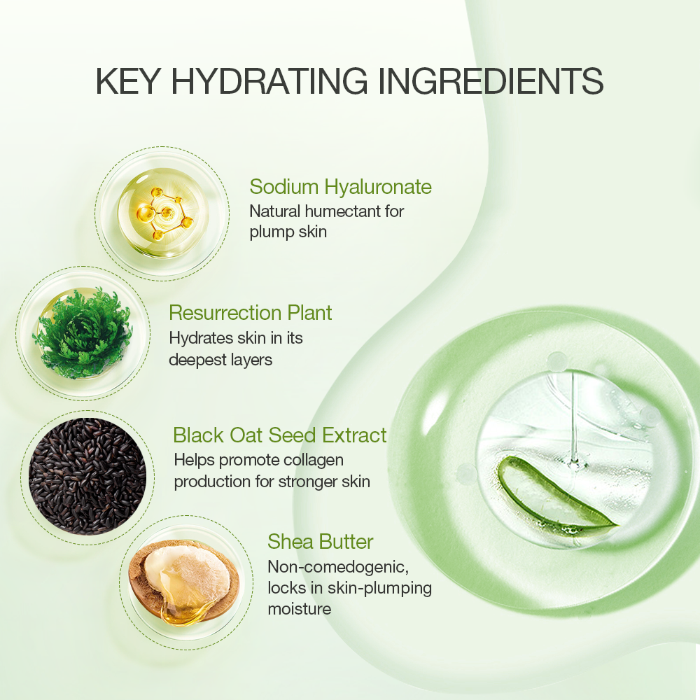 Aloe Hydrating Moisturizer from ALODERMA