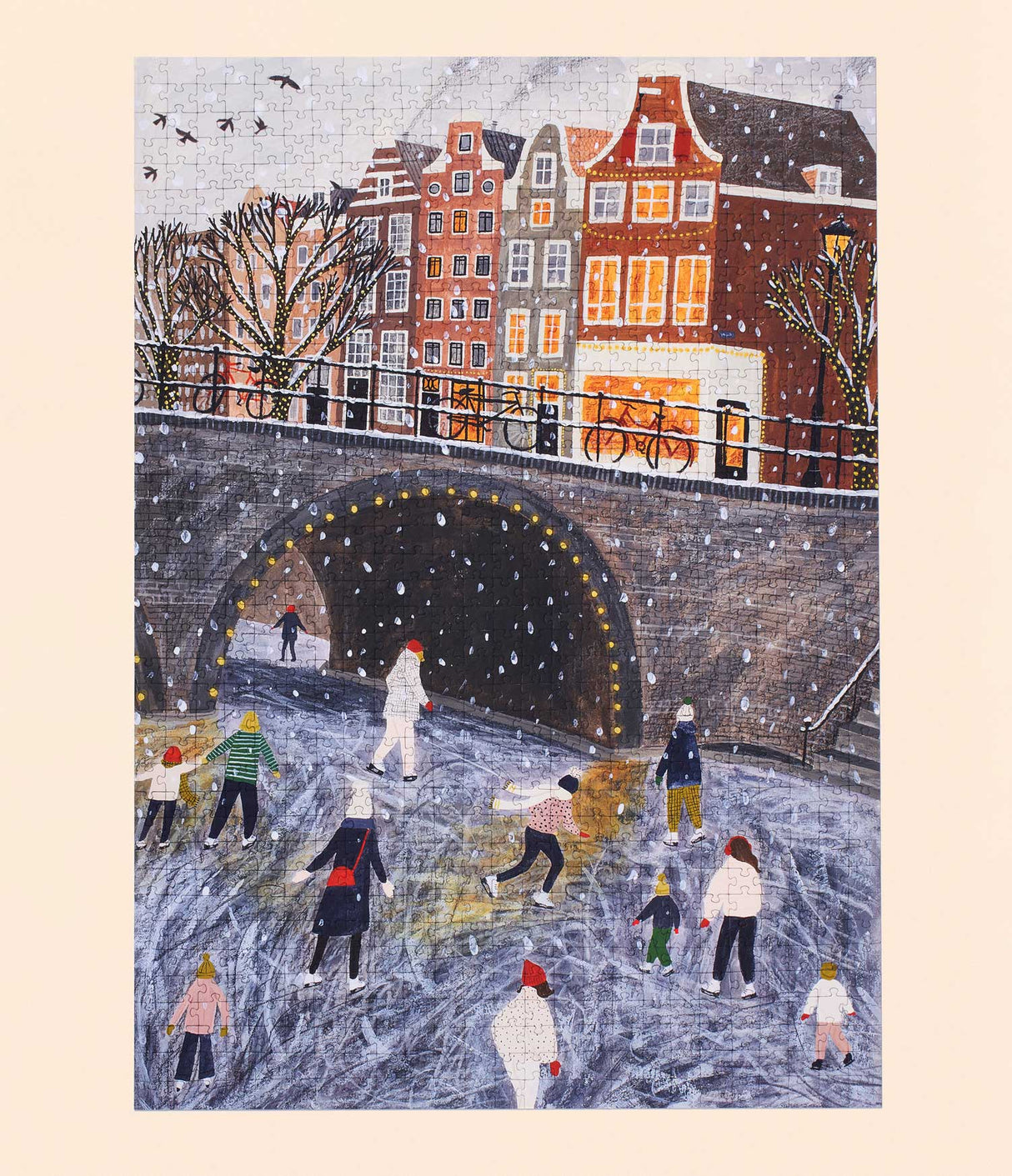 Ice Skating on the Canal Puzzle from Ordinary Habit