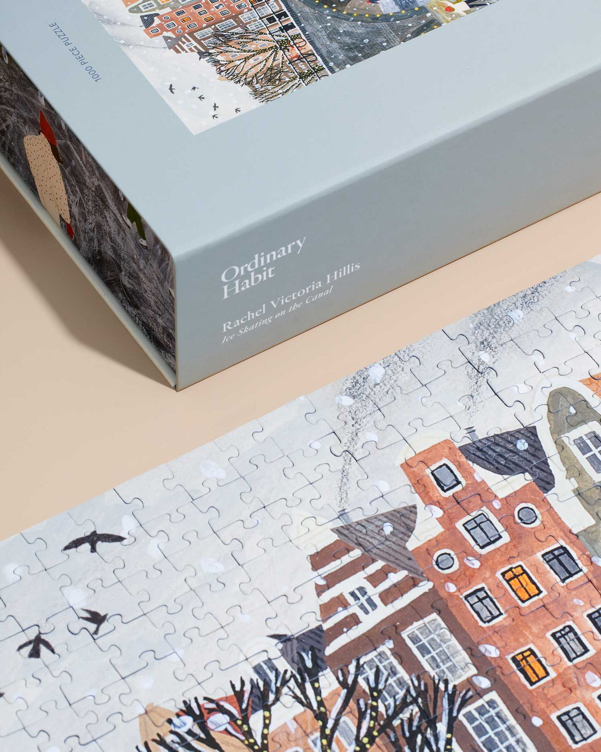 Ice Skating on the Canal Puzzle from Ordinary Habit