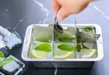 Ecozoi Stainless Steel Ice Cube Trays with Easy Release, 2 Pack, 12 Large Cubes from ecozoi