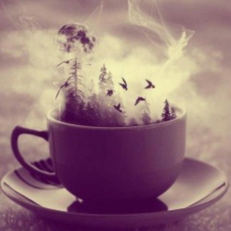 Witches Tea Party from Wicked Good Perfume