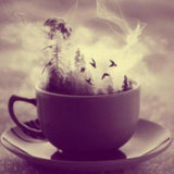 Witches Tea Party from Wicked Good Perfume