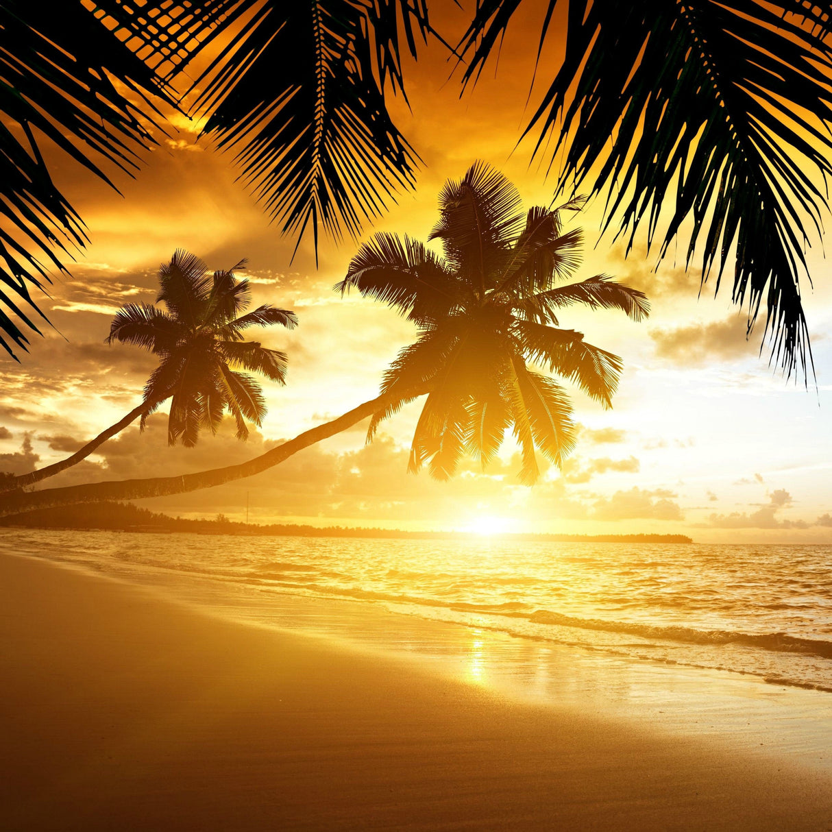 Golden Sands from Wicked Good Perfume