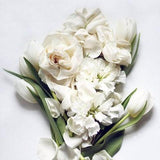 Magnolia from Wicked Good Perfume